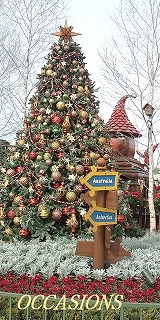 ディズニーランド Christmas Fantasy_e0158355_1631617.jpg