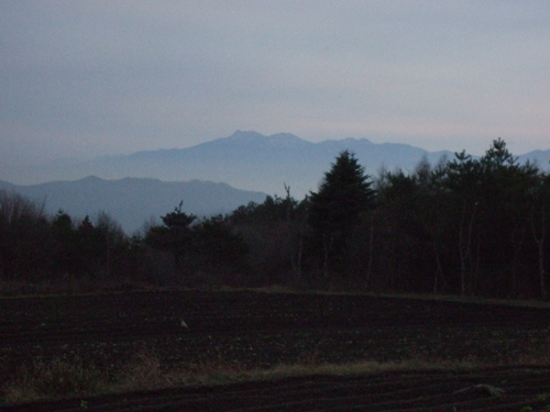 b0045357_448276.jpg