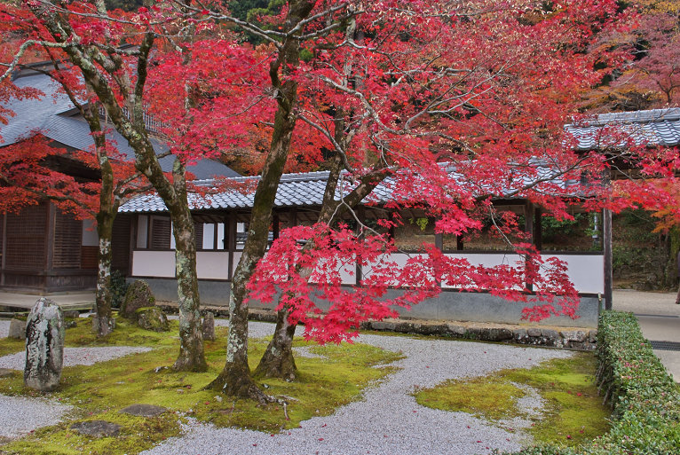 永源寺の紅葉_e0170058_19101696.jpg