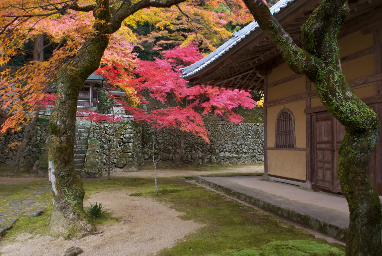 永源寺の紅葉_e0170058_19103265.jpg