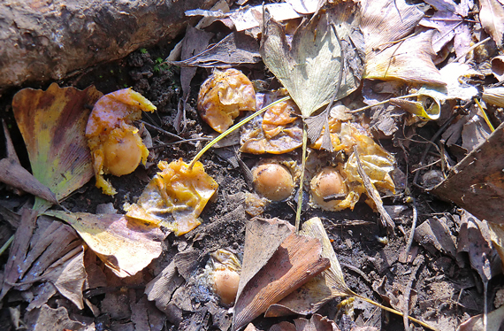 f0176458_10361728.jpg
