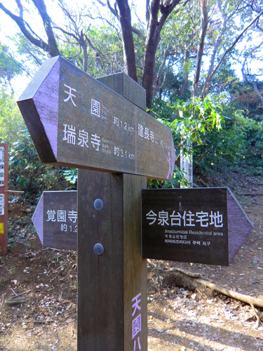 f0176458_10474032.jpg