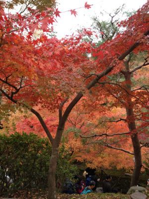 京都旅行_f0223360_0123890.jpg