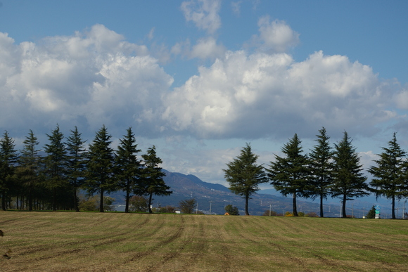 d0183162_0221879.jpg