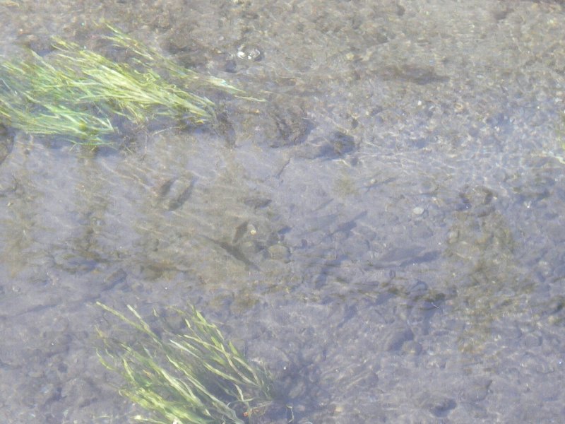 c0214764_19352464.jpg