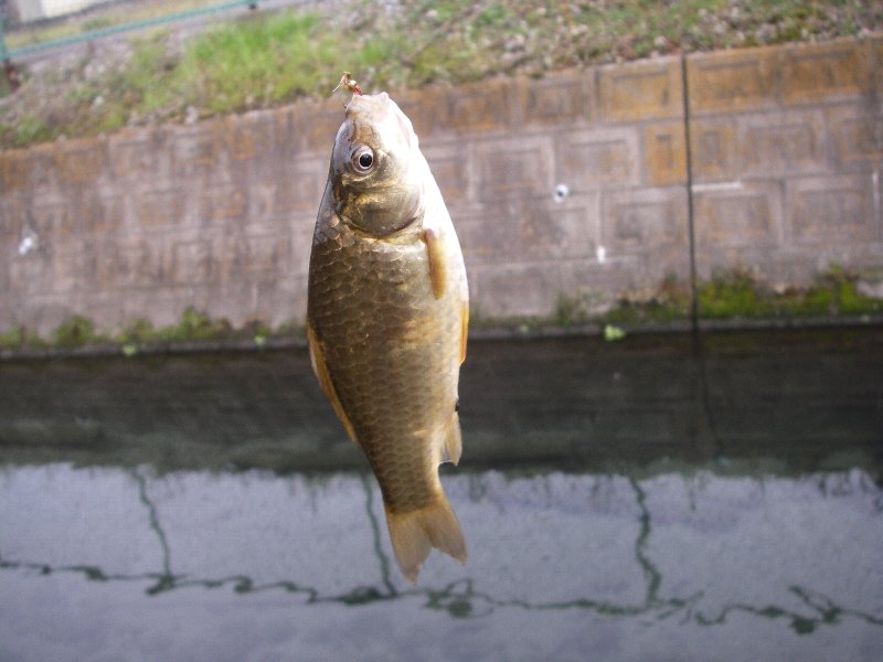 c0214764_1936357.jpg