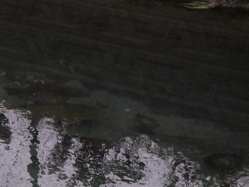c0214764_19383716.jpg