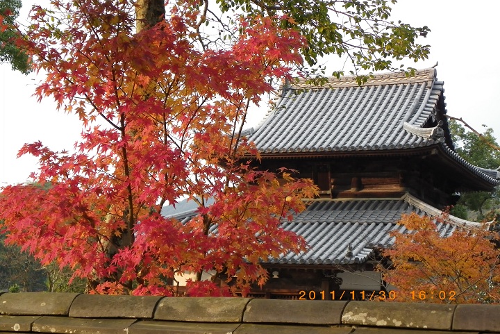 紅葉真っ盛りの大宰府周辺の散歩道_f0016066_8111710.jpg