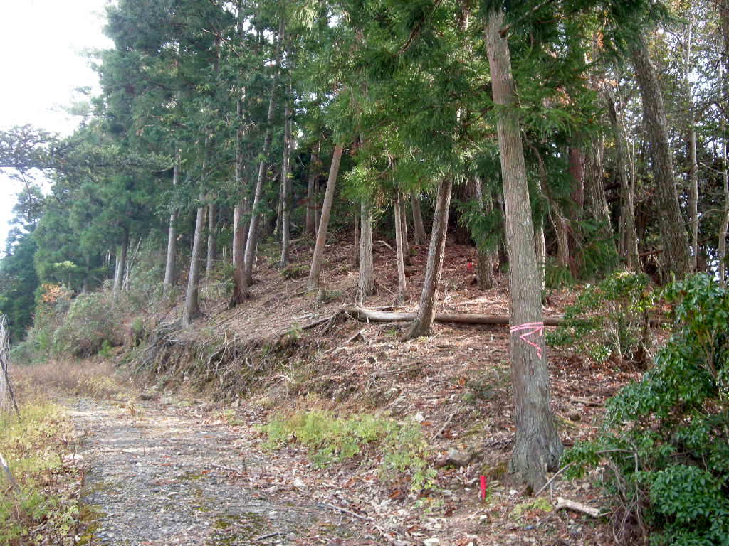 b0185573_18435862.jpg