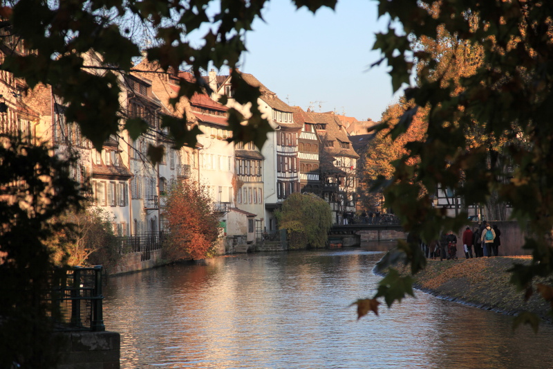 c0187779_1614248.jpg