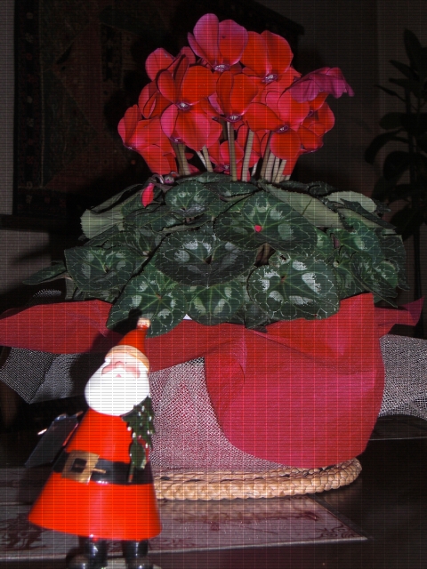 c0223879_21171425.jpg