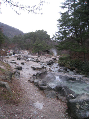 a0038882_922986.jpg