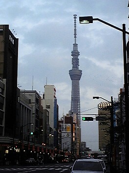 お下見完了_a0115684_50159.jpg