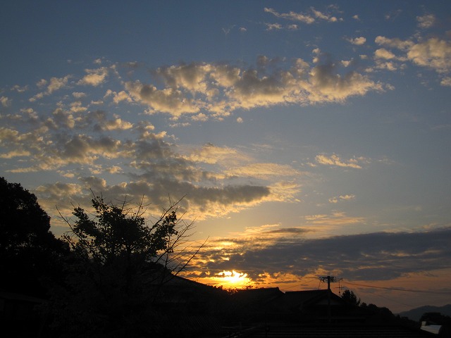 b0182884_10023.jpg