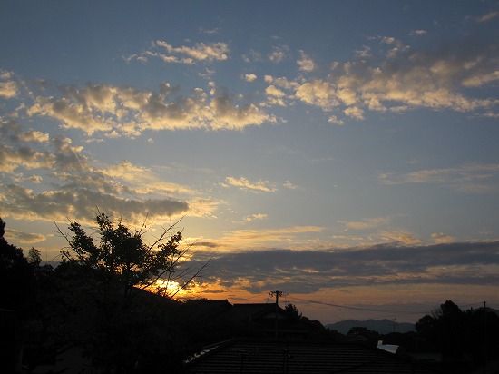 b0182884_101525.jpg