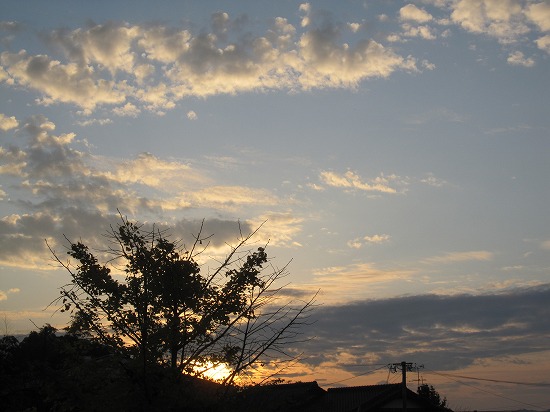b0182884_10764.jpg