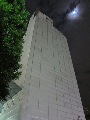 お江戸の様子_c0204385_18162818.jpg