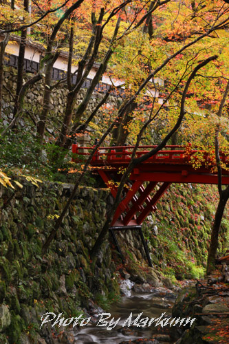 横蔵寺の紅葉　その2_e0180387_1693059.jpg