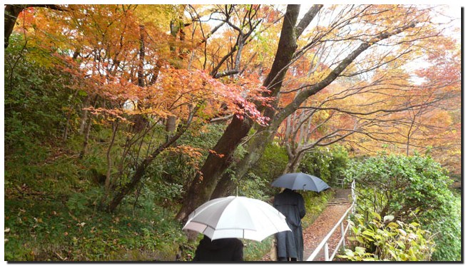 卯辰山～菖蒲園～卯辰山三社_f0079990_9185141.jpg