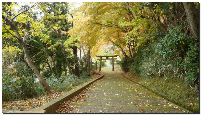 卯辰山～菖蒲園～卯辰山三社_f0079990_9192068.jpg