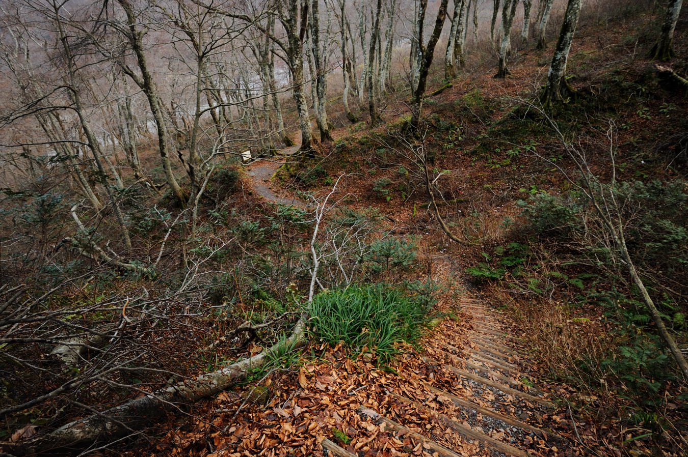 c0138991_2141520.jpg