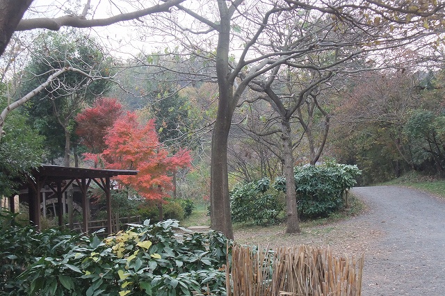 e0070891_188484.jpg