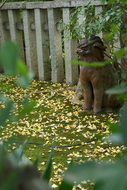 紅葉真っ只中東福寺、北野天満宮をご紹介(2/2)_d0181492_001563.jpg