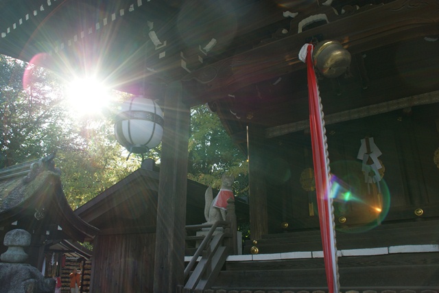 紅葉真っ只中東福寺、北野天満宮をご紹介(2/2)_d0181492_05481.jpg