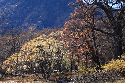 中禅寺湖畔_b0062793_94999.jpg