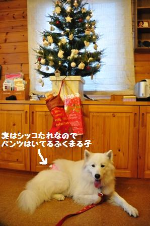 バースディー＆クリスマスパーチー_f0212597_1316977.jpg