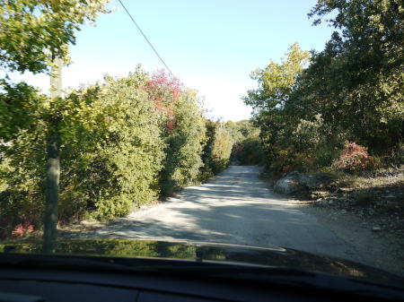 c0090198_4412378.jpg