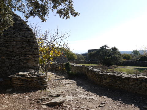 c0090198_4435851.jpg