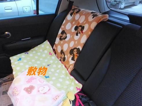 シートカバー 毎日笑顔 チャイクレｎｕｋｕ ｐｅａｒｌ Claire