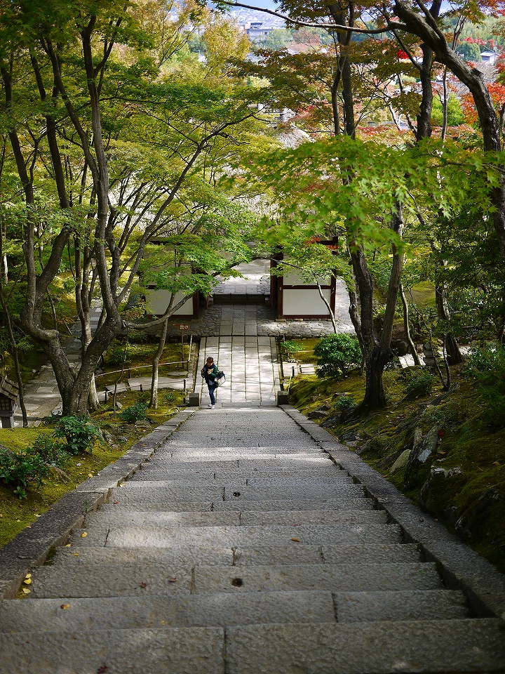 大人の修学旅行で一番行きたかった場所_e0252304_20501635.jpg