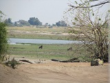 a0100706_0392854.jpg