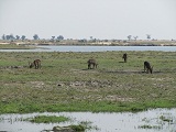 a0100706_0395210.jpg