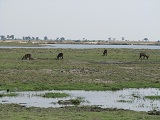 a0100706_0444691.jpg