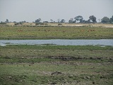 a0100706_0445889.jpg