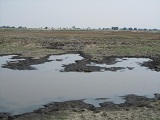 a0100706_05163.jpg