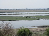a0100706_1143828.jpg