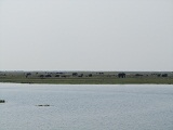 a0100706_1265973.jpg