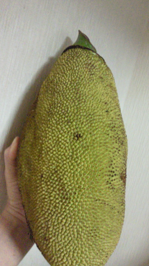 d0099507_1284455.jpg