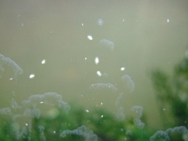f0152308_20143056.jpg