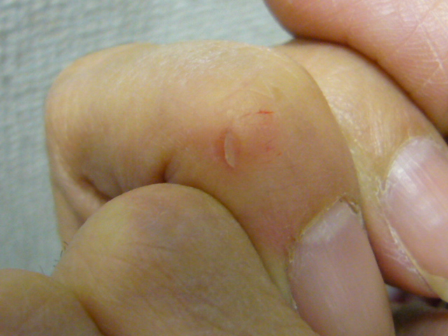 a0144610_17553054.jpg