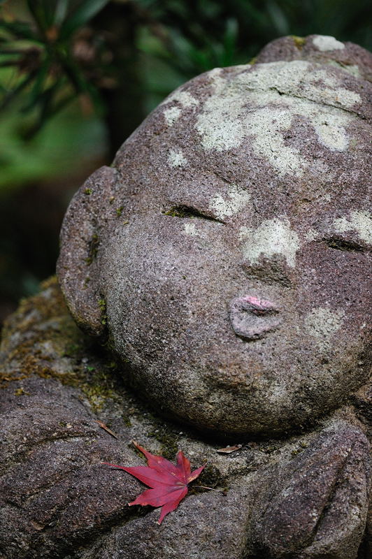 2011京都の紅葉・愛宕念仏寺_f0032011_21561351.jpg