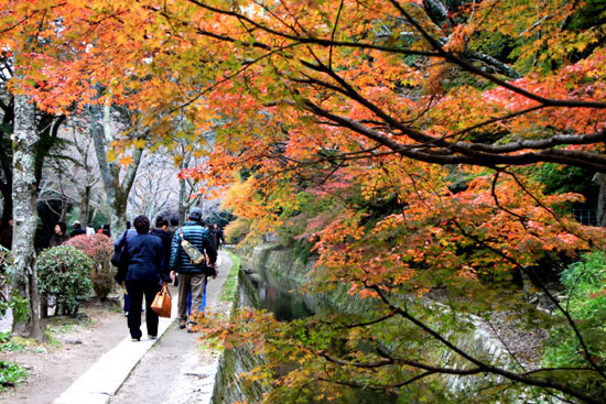 紅葉を求めて哲学の道から法然院へ_e0048413_21132384.jpg