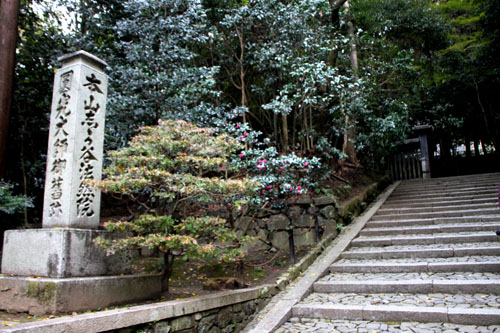 紅葉を求めて哲学の道から法然院へ_e0048413_21134427.jpg