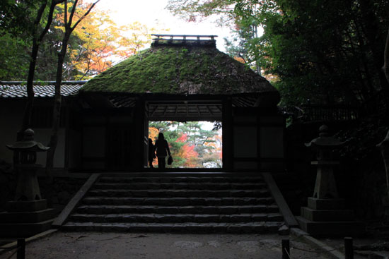 紅葉を求めて哲学の道から法然院へ_e0048413_21135628.jpg