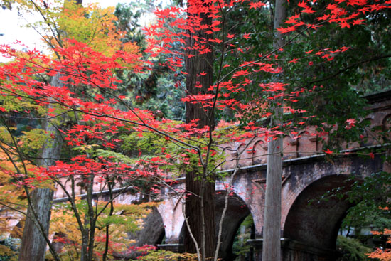南禅寺 水路閣_e0048413_21503373.jpg