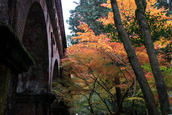 南禅寺 水路閣_e0048413_215042100.jpg